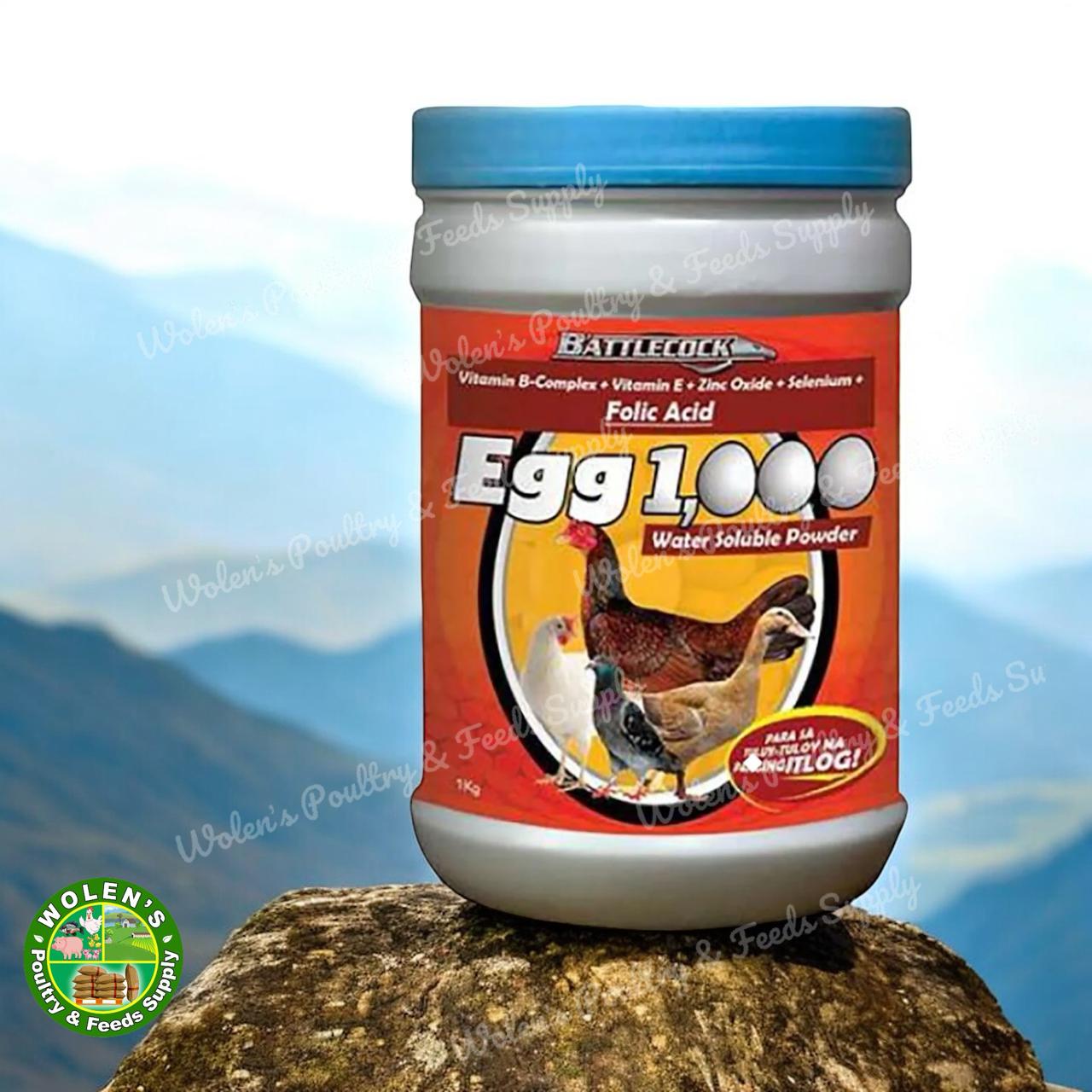 Egg 1000 Powder - Canister