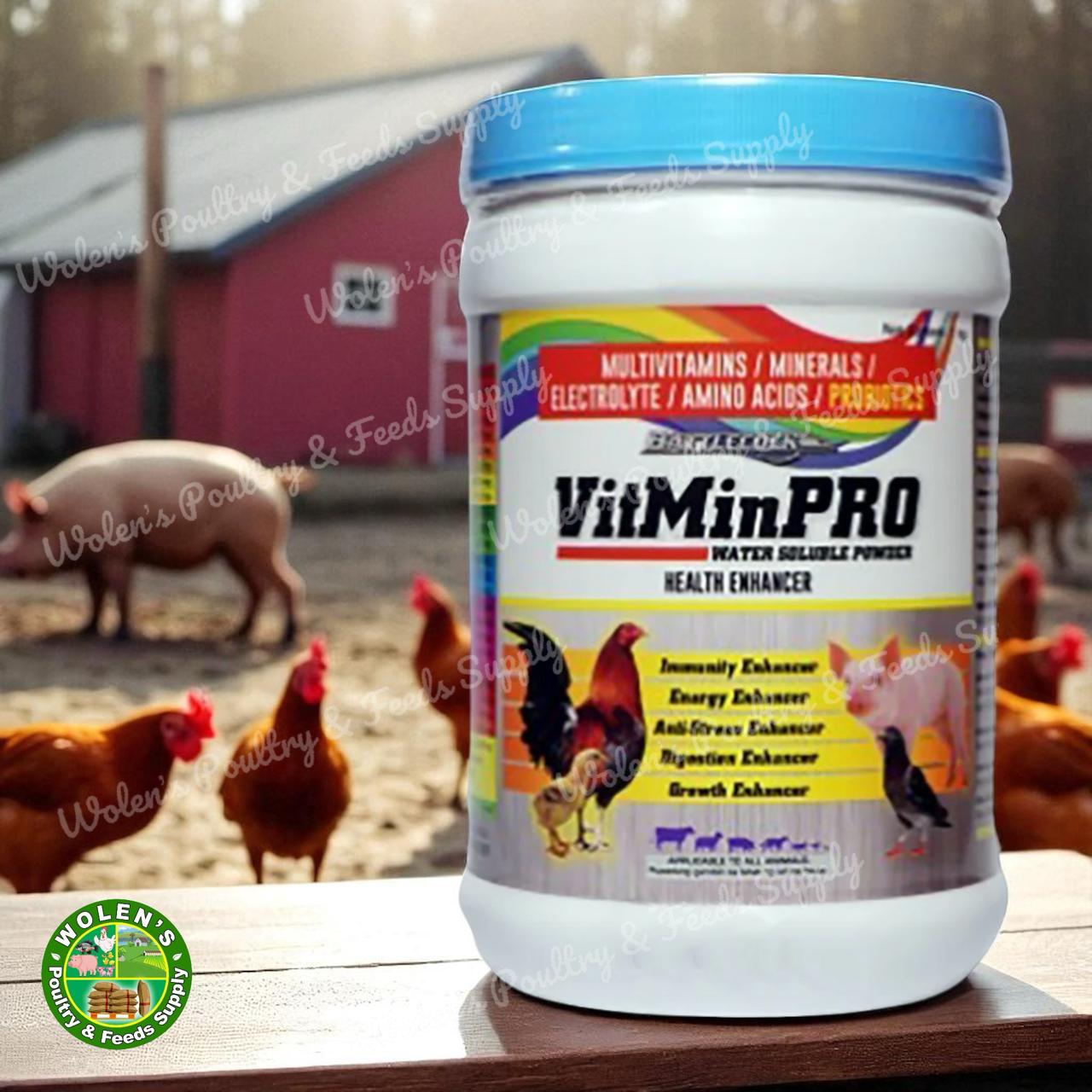 Vitminpro Powder - 1 kg