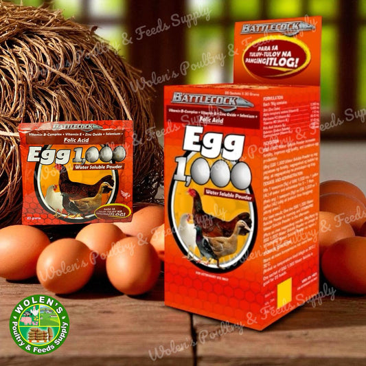 Egg 1000 - Sachet