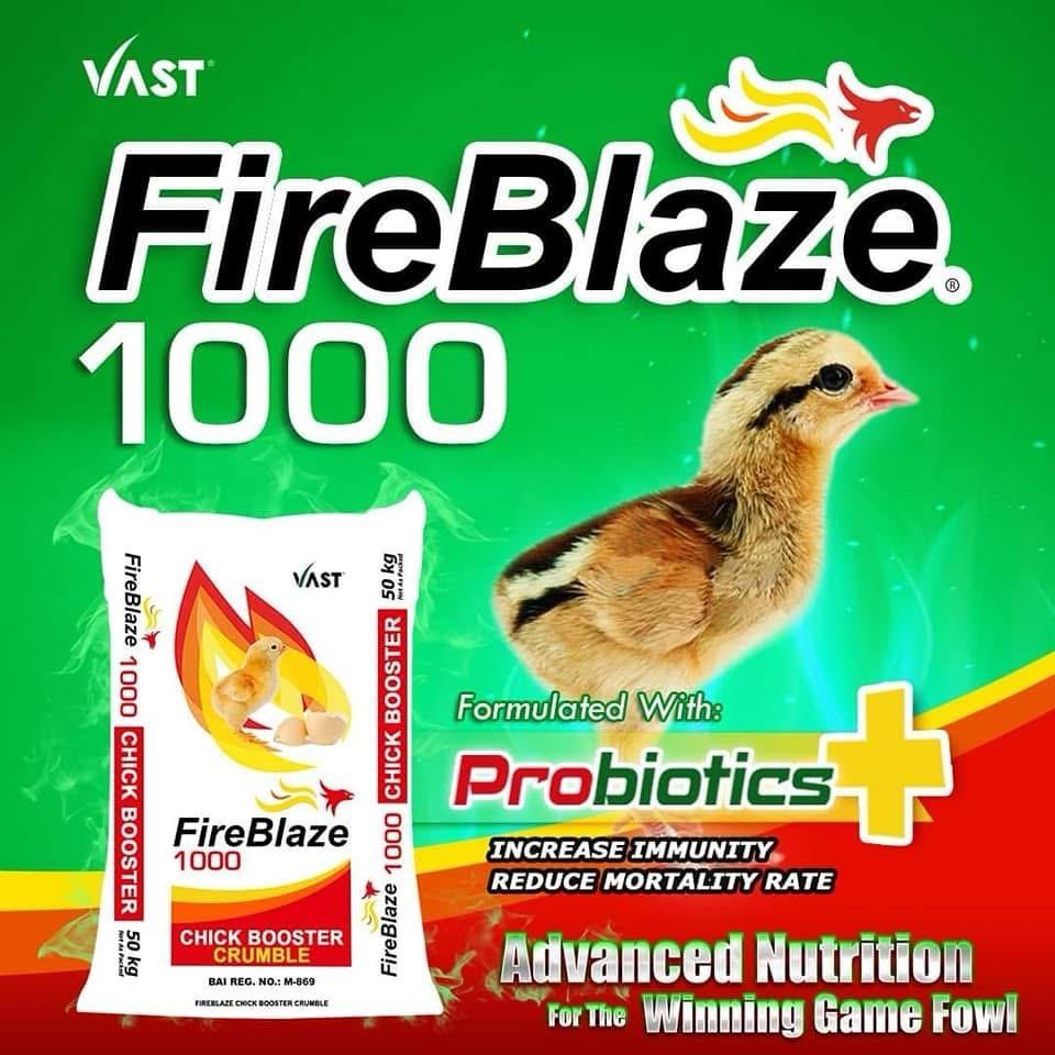 FireBlaze 1000 - Chicken Booster Crumble 50 kg