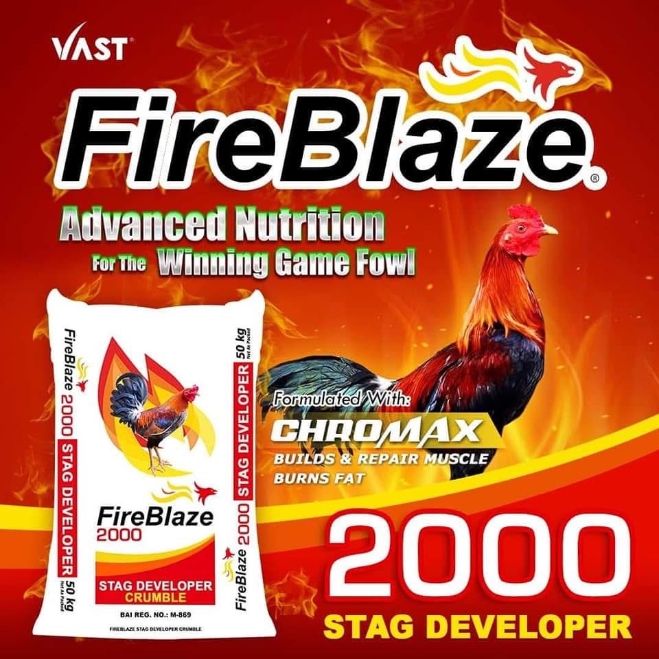 FireBlaze 2000 - Stag Developer Crumble 50 kg