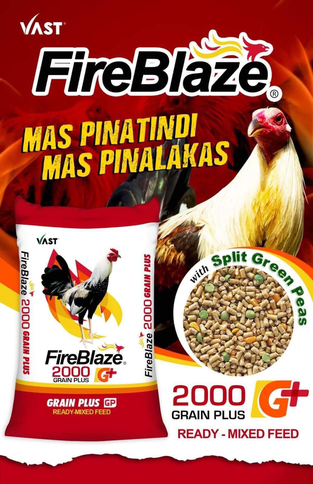 FireBlaze 2000 G+ - Grain Plus Ready-Mixed Feed 50 kg