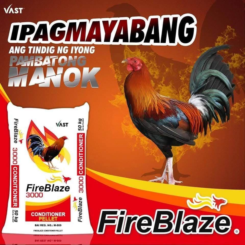 FireBlaze 3000 - Conditioner Pellet 50 kg