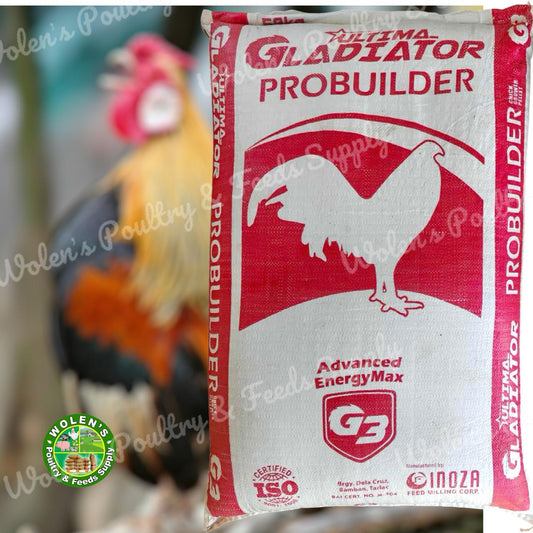 Inoza Gladiator 3 - ProBuilder