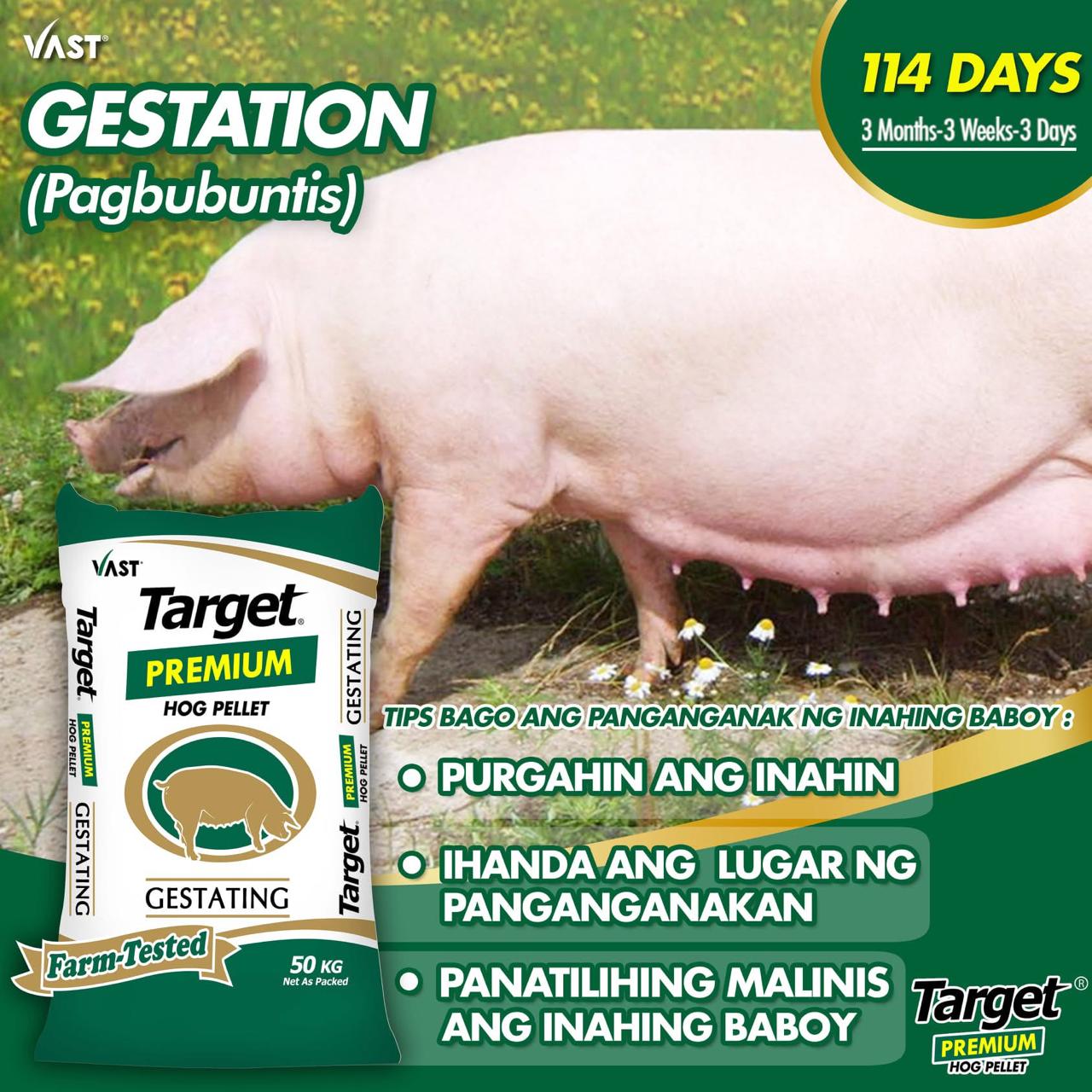 Vast Target Premium Hog Gestating Pellet