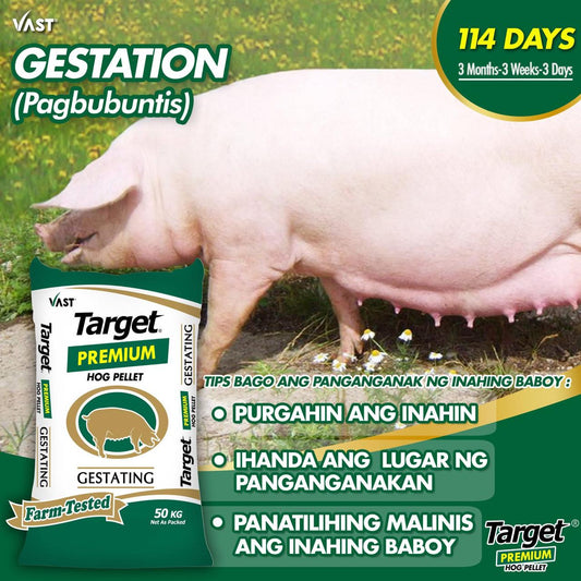 Vast Target Premium Hog Gestating Pellet