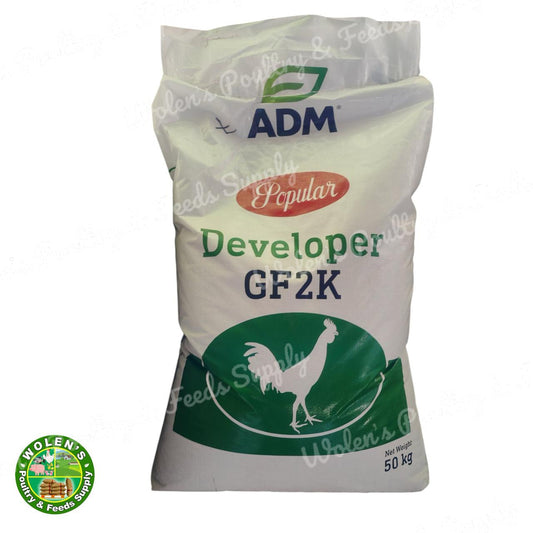 ADM Popular Developer - GF 2k