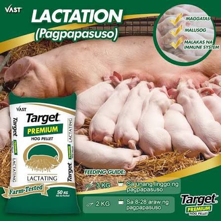 Vast Target Premium Hog Lactating Pellet
