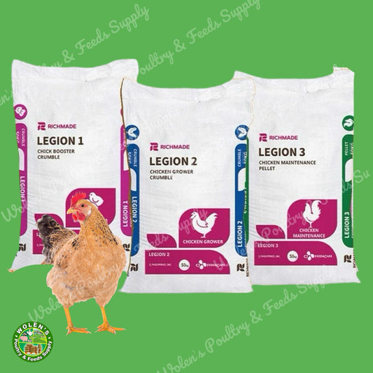 CJ Richmade Legion Chick Booster / Grower / Maintenance