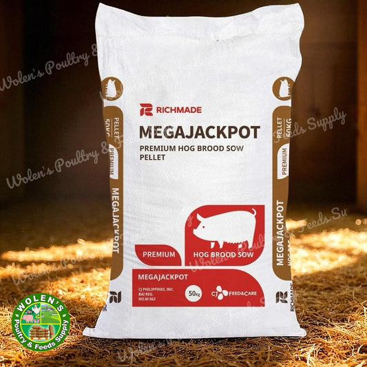 CJ Megajackpot Brood Sow