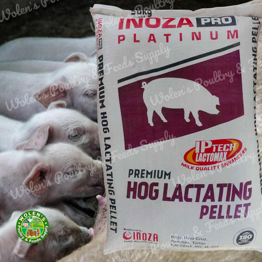 Inoza Platinum Premium Hog Lactating Pellet