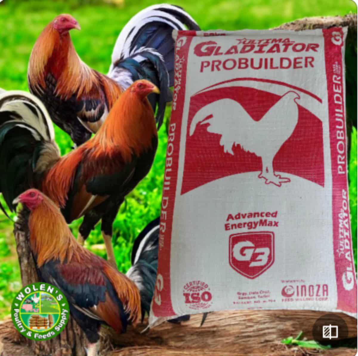 Inoza Gladiator 3 - ProBuilder