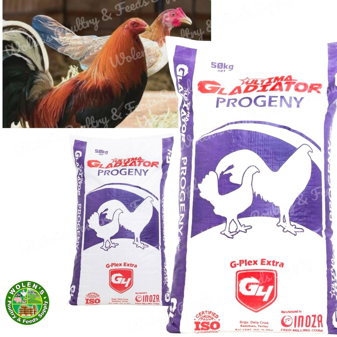 Inoza Gladiator 4 - Progeny