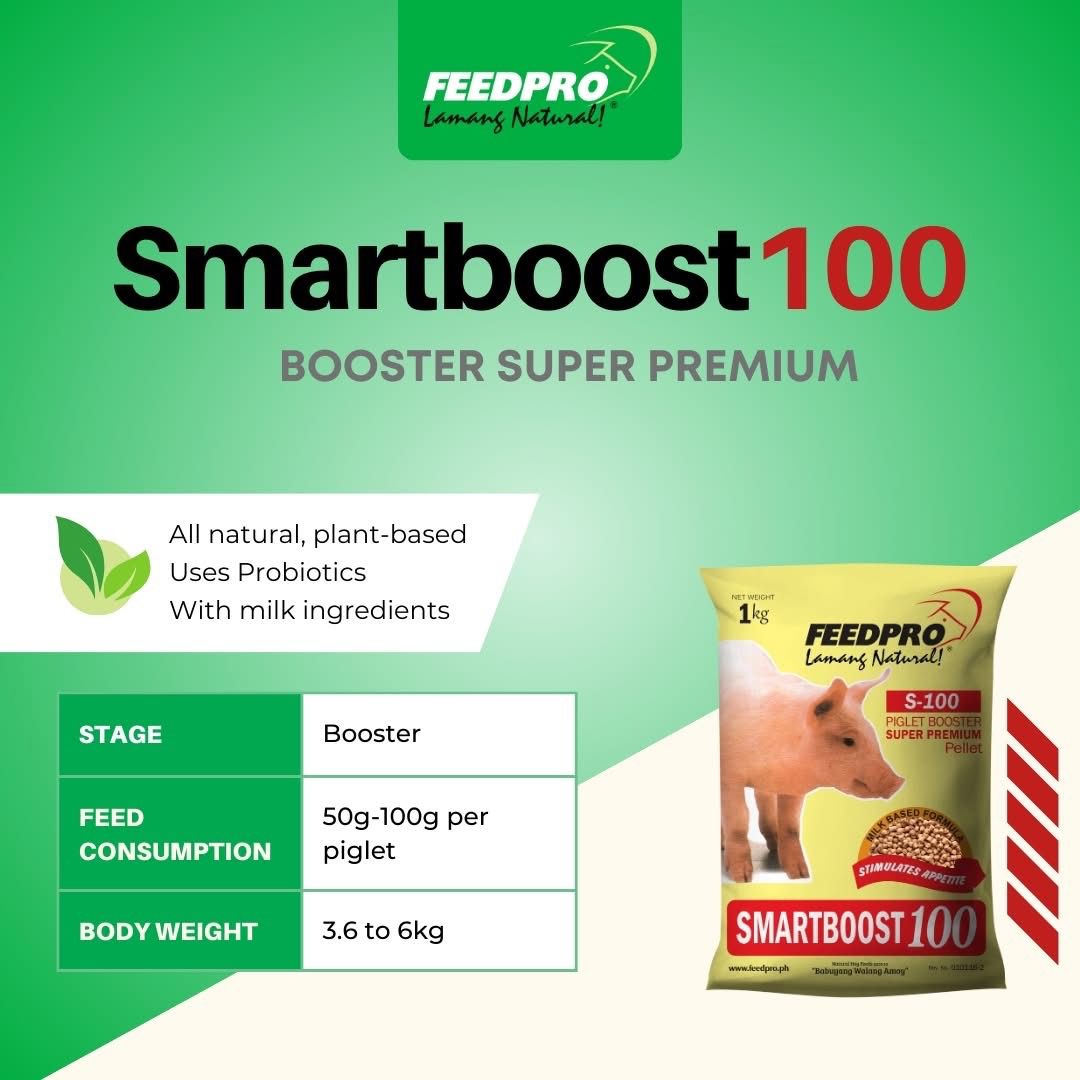 Feedpro Super Premium Piglet Booster - S-100