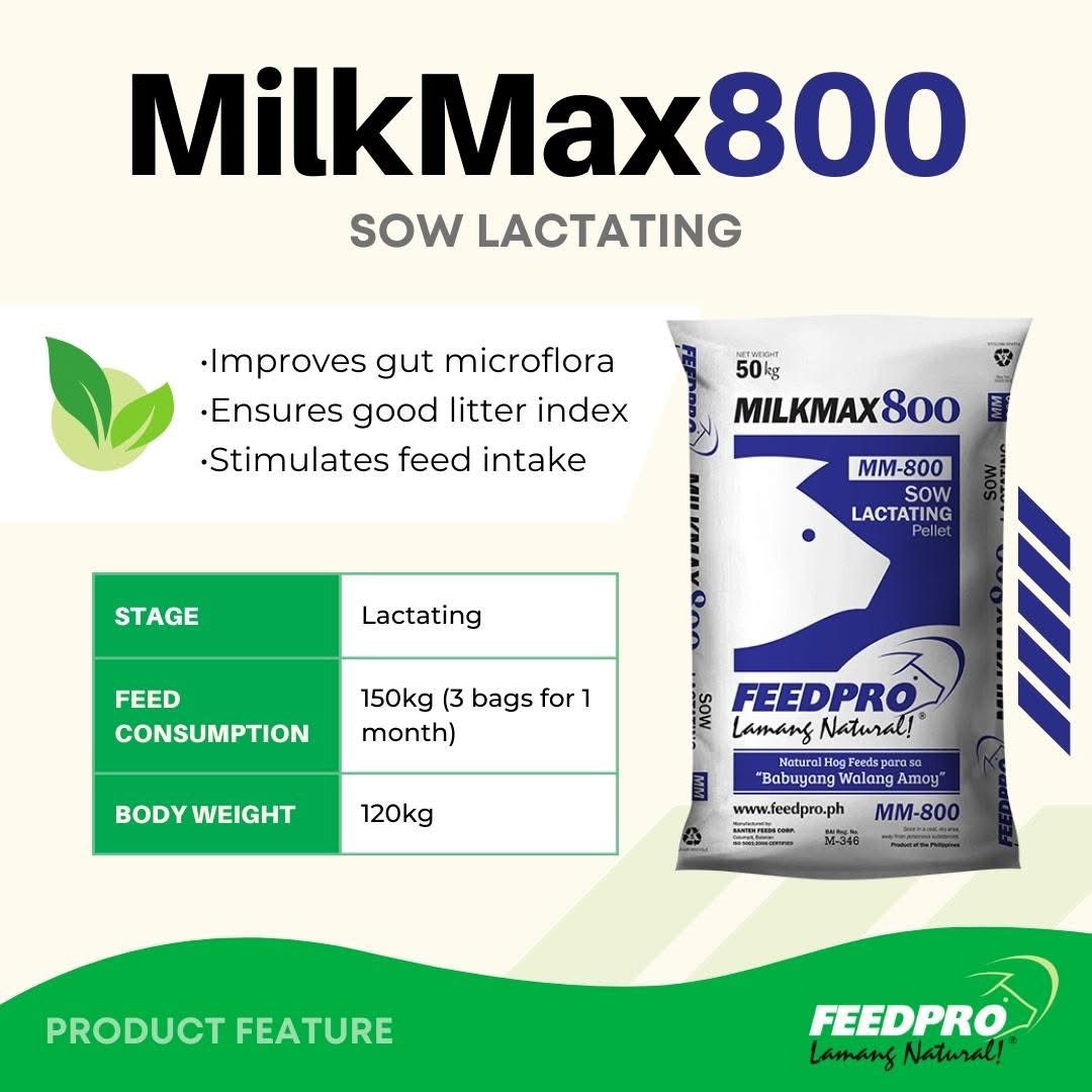 Feedpro Sow Lactating - MilkMax 800