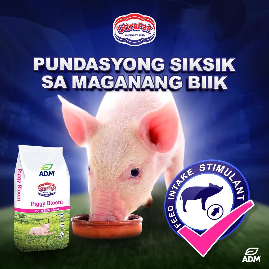 ADM Ultrapak Piggy Bloom - Piglet Pellet Feed
