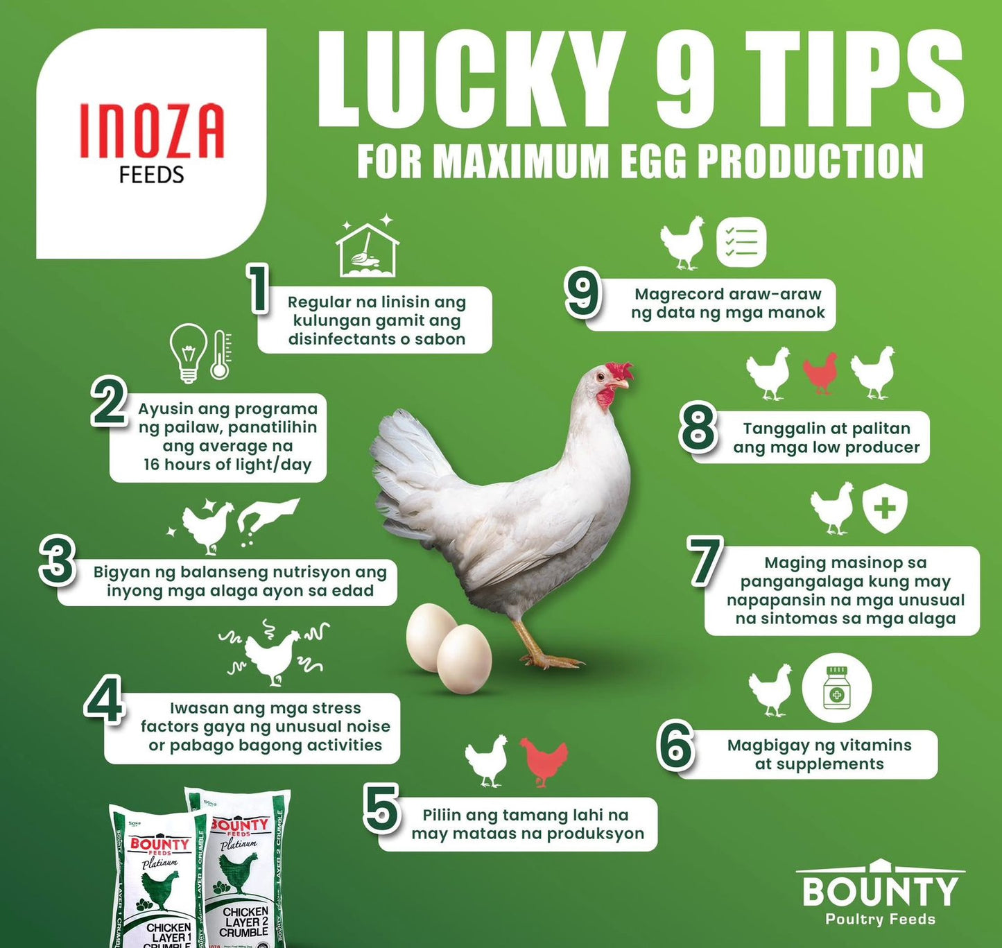 Inoza Bounty Platinum Chicken Layer 1 Crumble