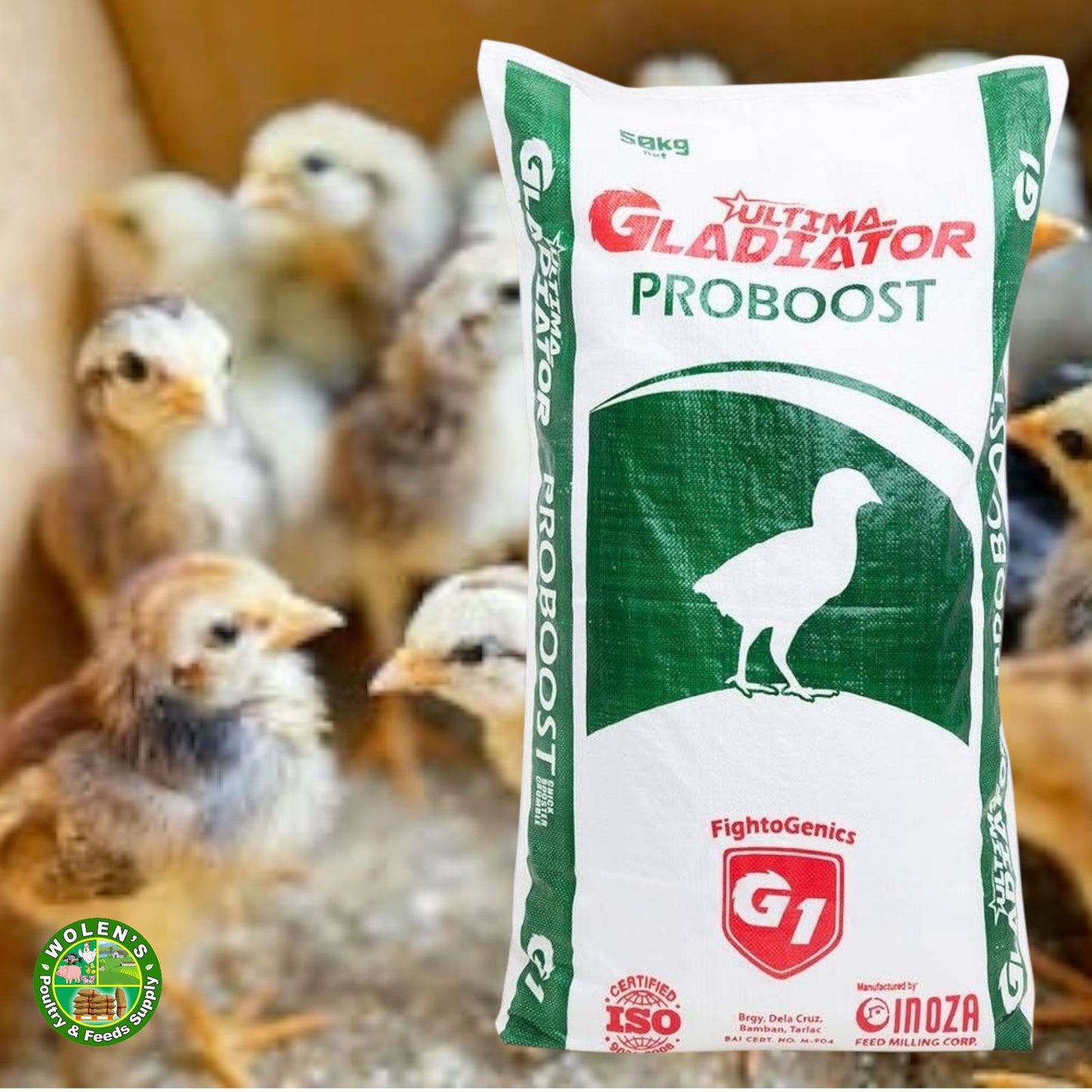 Inoza Gladiator 1 - ProBoost