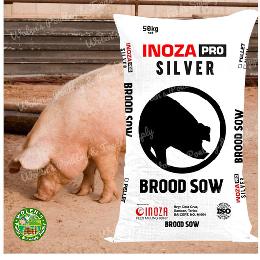 Inoza Silver Brood Sow